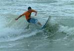 (05) Dscf3949 (bushfish - morning surf 3).jpg    (1000x692)    275 KB                              click to see enlarged picture